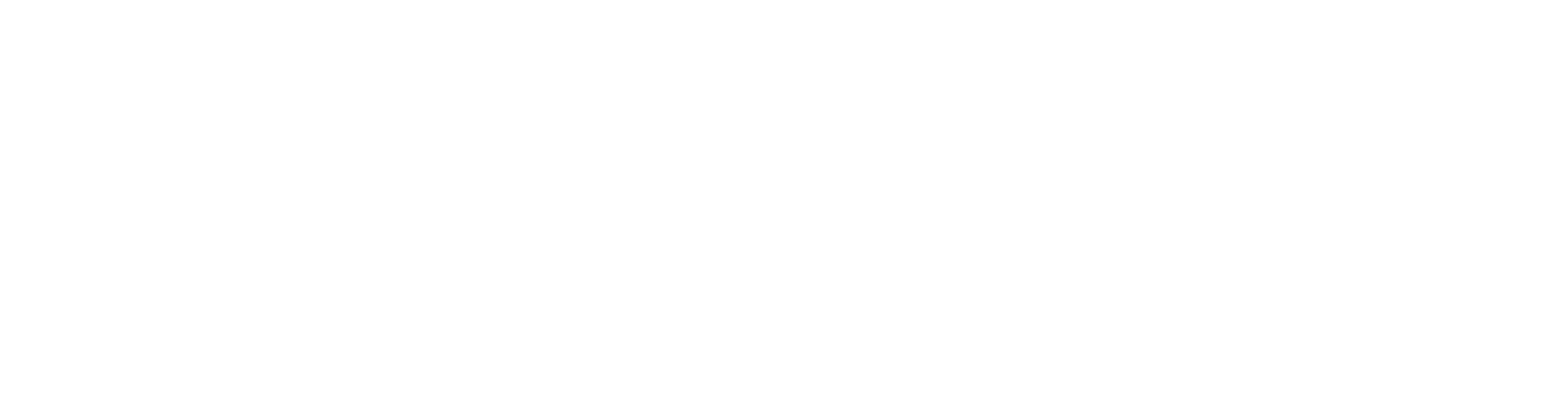 PulsePro Logo